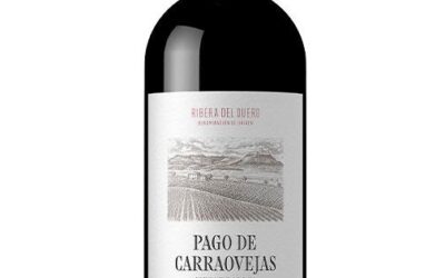 Vino 1